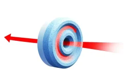 2 recharges pour absorbeur d'humidité Rubson Aero 360°