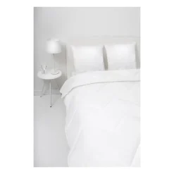 ABEIL Lot de 2 Oreillers a mémoire de forme matelassés- 60x60 cm - Blanc
