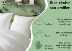 ABEIL Lot de 2 Oreillers Douceur - 60 x 60 cm - Blanc