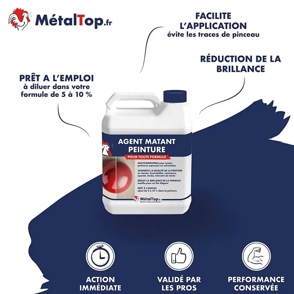 Agent Matant Peinture - 5 L - Métaltop