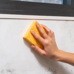 Anti-moisissures murs et pièces à vivre Starwax 500ml