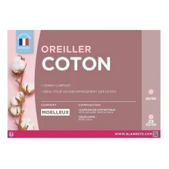 BLANREVE Lot de 2 Oreillers en coton - 60 x 60 cm - Blanc