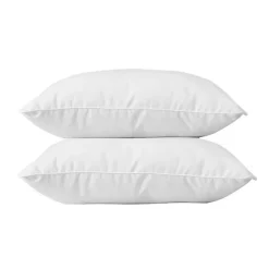 BLANREVE Lot de 2 Oreillers en coton - 60 x 60 cm - Blanc