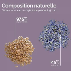 Bouillotte, coussin chauffant 45 x 30 cm pour le dos ou autres parties du corps - Cosy - Beige - Vivezen