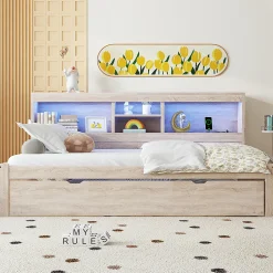 Canapé-lit 90x200cm LED télécommandé rangement prise/USB sans matelas naturel