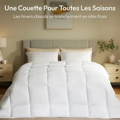 CASABEL Couette 240x260 cm Hiver Légère, 450 GSM Microfibre Douce et Respirante, Thermorégulatrice, Lavable, Pour Lit 2 Personnes