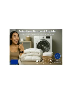 Couette 4 Saisons Très Chaude Moelleuse et Thermorégulatrice 220x240