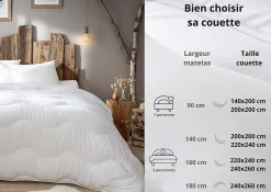 Couette anti-acariens chaude 200 x 200 cm polyester blanc