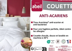 Couette anti-acariens chaude 200 x 200 cm polyester blanc