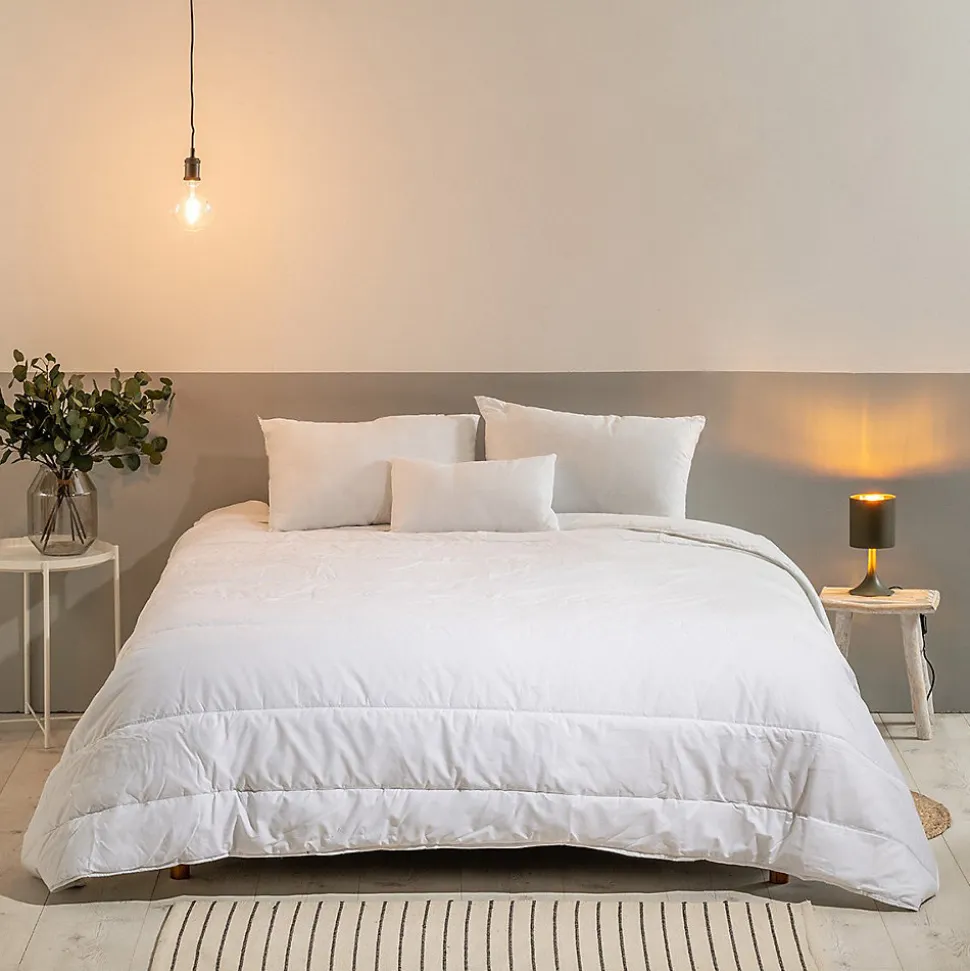 Couette Chaude 220x240cm ANTI-PUNAISES DE LIT