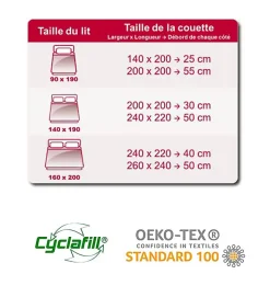 Couette de lit Douceur Absolue blanc ABEIL Dimension - 200x200, Grammage - 200 g/m2