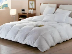 Couette DODO Naturelle Duvet - 240x260 cm - BAFFIN