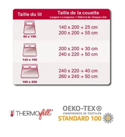 Couette hiver chaude Thermofill 350g 200 x 200 cm pour lit 1 place ABEIL