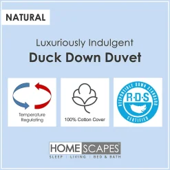 Couette légère été 260x220 cm - Couette 2 personnes - Duvet de canard - HOMESCAPES