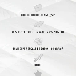 Couette naturelle - Chaude - 70% duvet anti-acarienne 240x220 cm APPALACHES