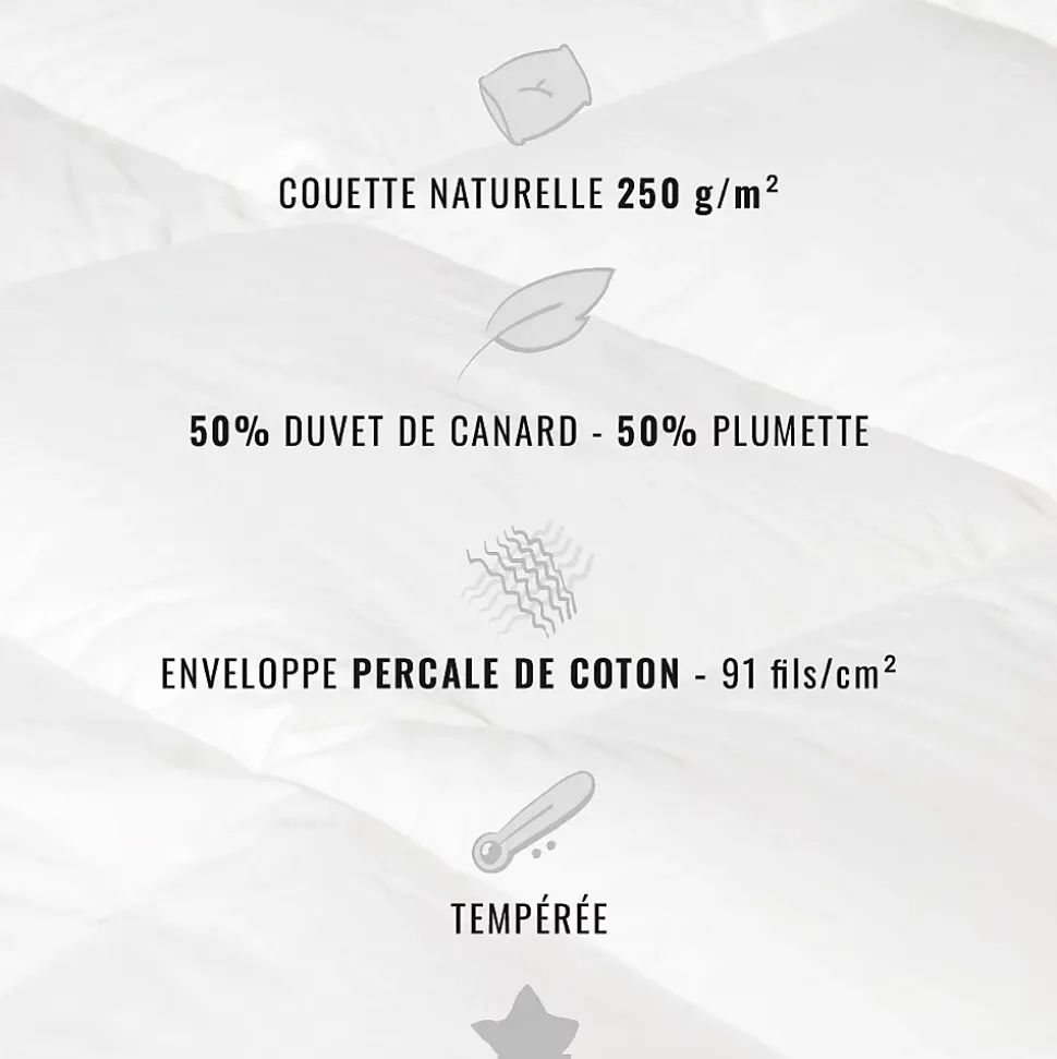 Couette naturelle - Tempérée - 50% duvet 250 g/m² 260x240 cm AVORIAZ