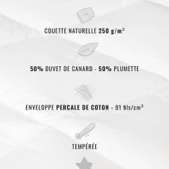 Couette naturelle - Tempérée - 50% duvet 250 g/m² 240x220 cm AVORIAZ