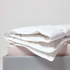 Couette Premium tempérée printemps/automne en duvet d'oie 10.5 Tog - 200 x 200 cm - HOMESCAPES