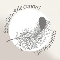 Couette 260x240 cm hiver FINLANDE garnissage naturel duvet de canard 300g/m2