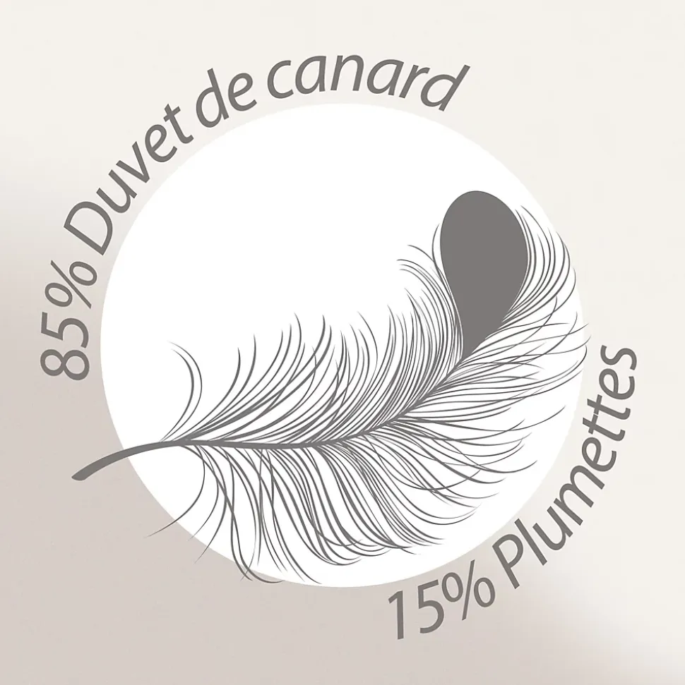 Couette 300x300 cm hiver FINLANDE garnissage naturel duvet de canard 300g/m2