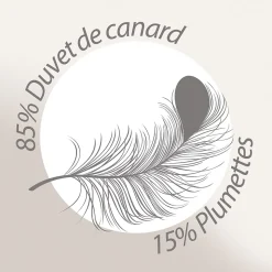 Couette 300x240 cm été FINLANDE garnissage naturel duvet de canard 180g/m2