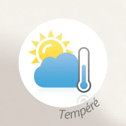 Couverture 100% polyester 240x260 cm microvelours DOLCE jaune miel