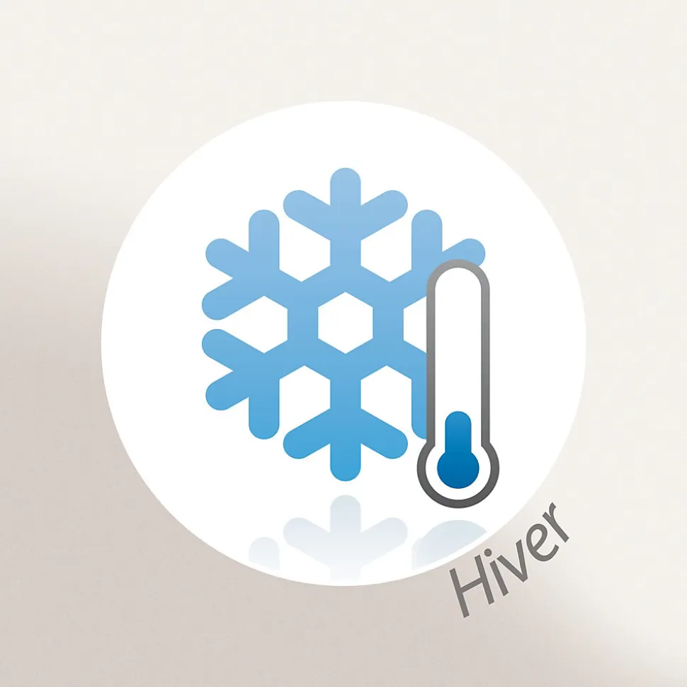 Couverture polaire 240x300 cm 100% Polyester 350g/m2 TEDDY Blanc Naturel