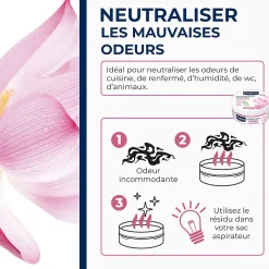 Destructeur d'odeurs fleurs de lotus 300g Starwax