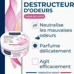 Destructeur d'odeurs fleurs de lotus 300g Starwax