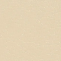 DIRECT COLOR - Recolore le cuir - 250ML SABLE - Les anciens ébénistes