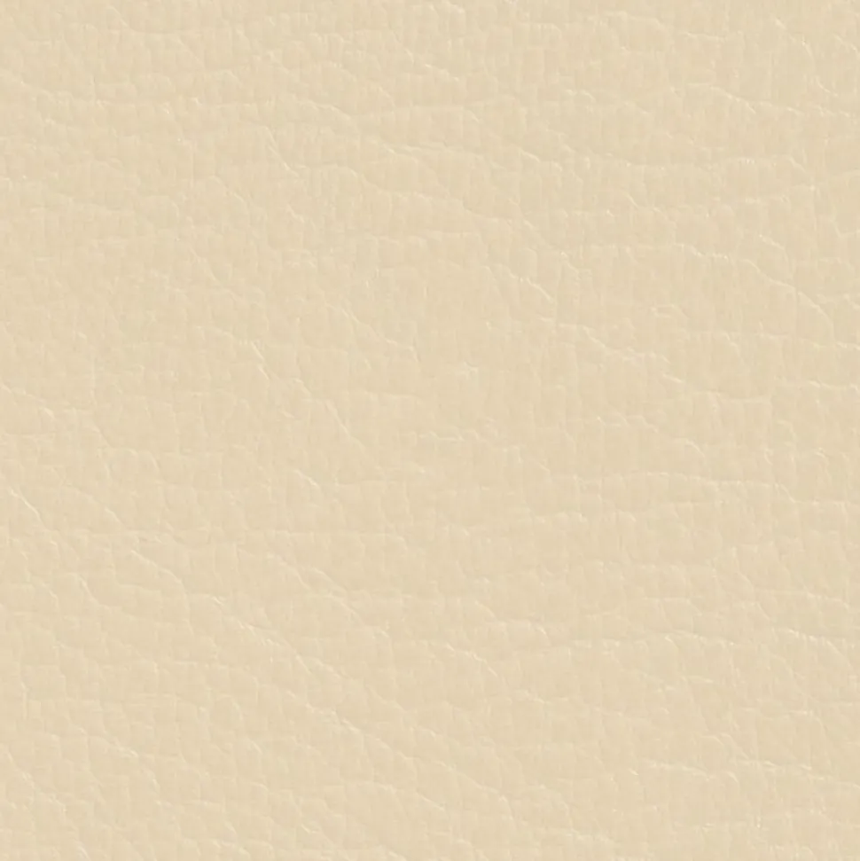 DIRECT COLOR - Recolore le cuir - 250ML SABLE - Les anciens ébénistes