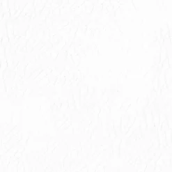 DIRECT COLOR - Recolore le cuir - 250ML BLANC - Les anciens ébénistes