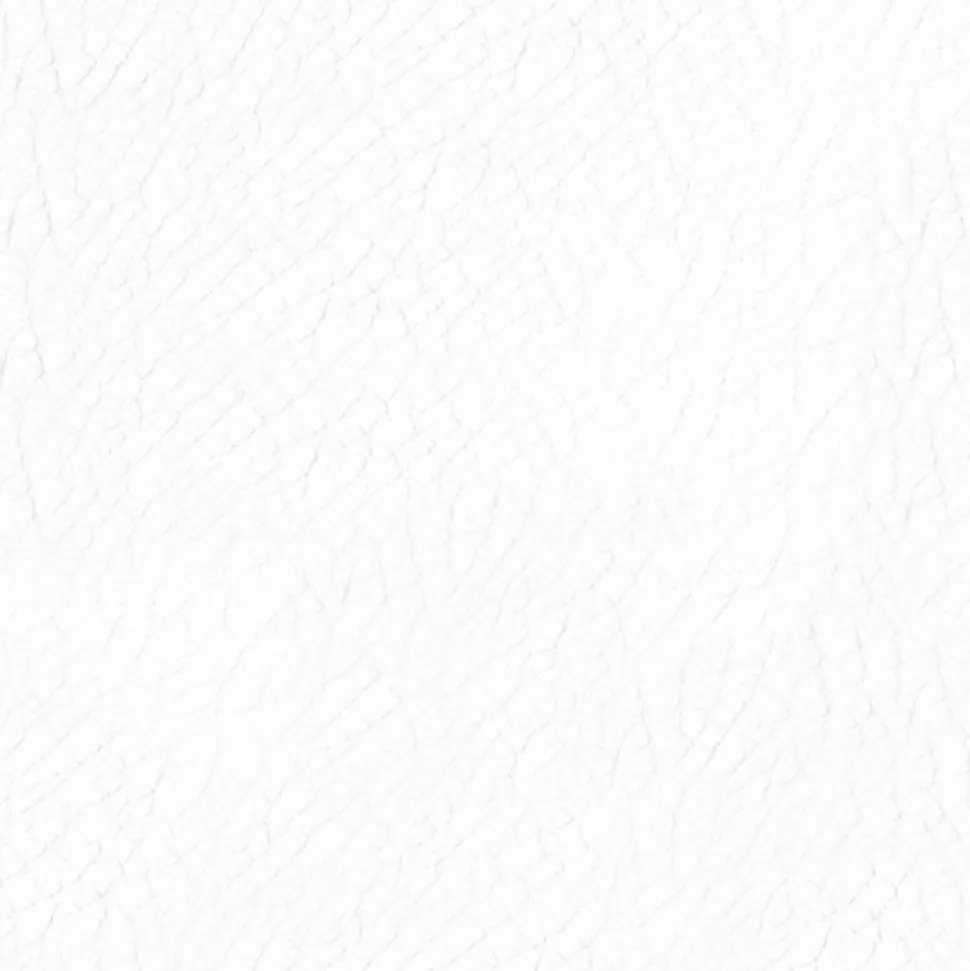 DIRECT COLOR - Recolore le cuir - 250ML BLANC - Les anciens ébénistes