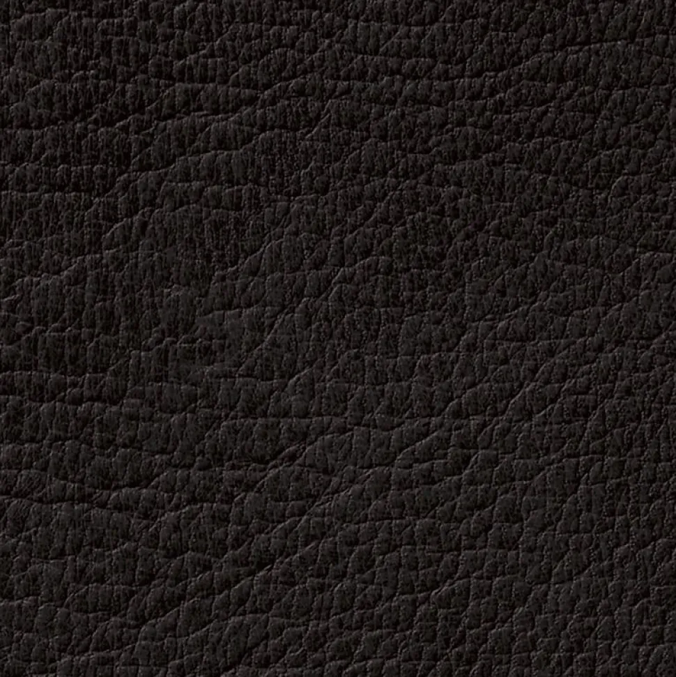 DIRECT COLOR - Recolore le cuir - 250ML NOIR - Les anciens ébénistes