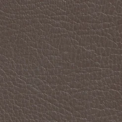 DIRECT COLOR - Recolore le cuir - 250ML CHATAÎGNE - Les anciens ébénistes