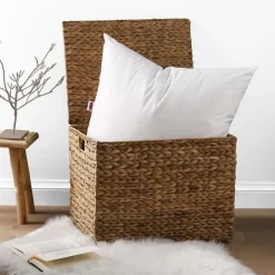 DODO Lot de 2 Oreillers Anti-Acariens Belle Nuit 60x60 cm blanc