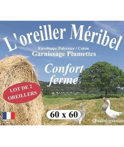 DODO Lot de 2 Oreillers MERIBEL Plumettes 60x60cm