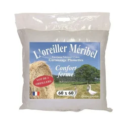 DODO Lot de 2 Oreillers MERIBEL Plumettes 60x60cm