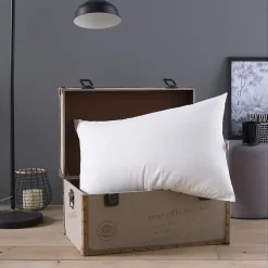 DODO Oreiller Grand luxe Quallofil Allerban 50x70cm