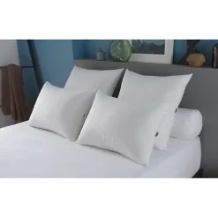 DODO Oreiller Grand luxe Quallofil Allerban 50x70cm