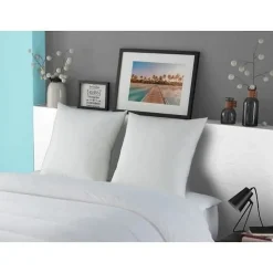 DODO Oreiller LUXOR 60x60 cm - 100% Coton - Effet Duvet