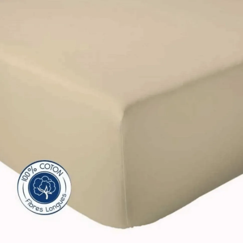 Drap Housse Uni bonnet 30 cm 100% Coton (160x190 cm - Beige foncé)