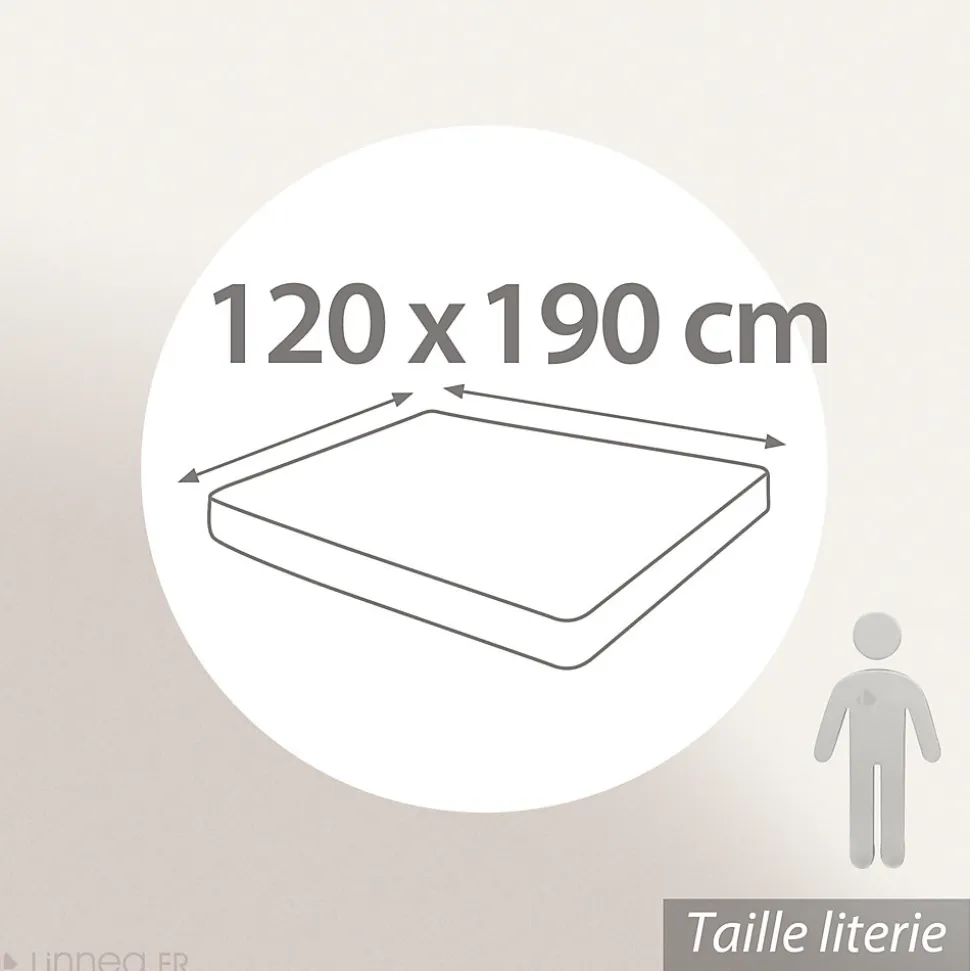 Drap housse uni 120x190 cm bonnet 35 cm percale de coton MANOIR beige Lin