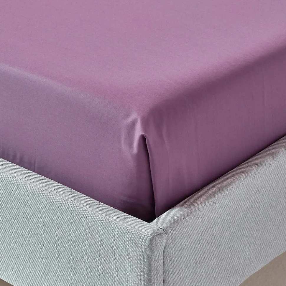 Drap plat uni 100 % coton égyptien 200 fils violet, 270x300 cm - HOMESCAPES