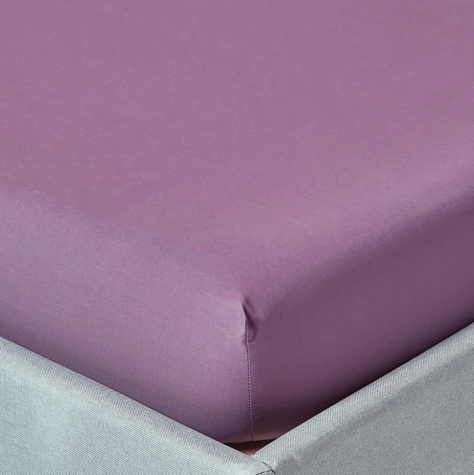 Drap-housse raisin 100% coton égyptien 200 fils 90 x 190 cm - HOMESCAPES