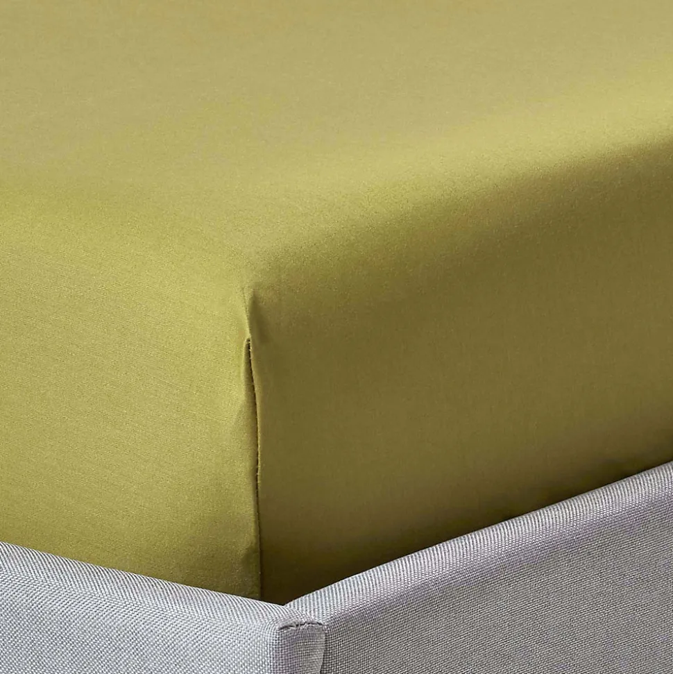 Drap-housse uni grand bonnet 100 % coton égyptien 1000 fils vert olive 90 x 190 cm - HOMESCAPES