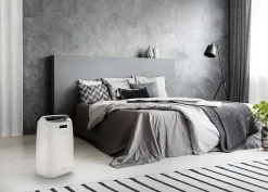 Déshumidificateur Delonghi DEXD216RF 16L/J 30m²