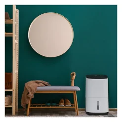 Déshumidificateur purificateur ARETE ONE 20L/j