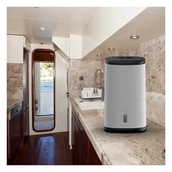 Déshumidificateur purificateur ARETE ONE 20L/j