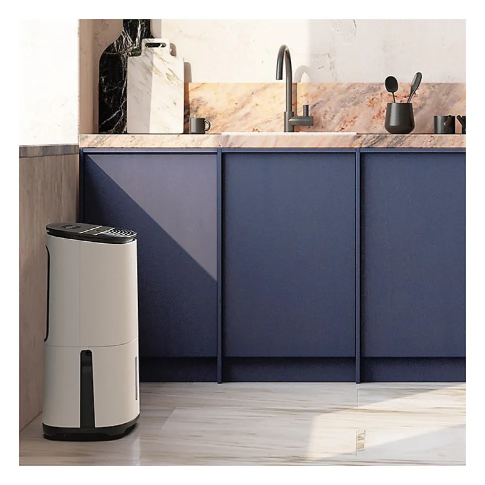 Déshumidificateur purificateur ARETE ONE 20L/j